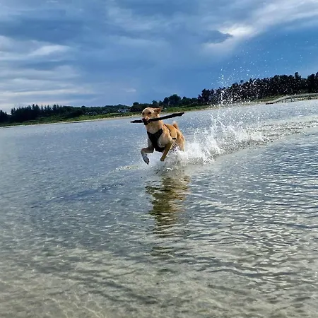 6 Person In Hadsund-by Traum